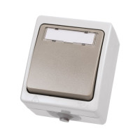Звонковая кнопка с полем для надписи TDM ELECTRIC IP54 Вуокса SQ1803-0006