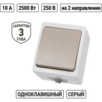 Проходной выключатель TDM ELECTRIC Вуокса ОП одноклавишный IP54 SQ1803-0003