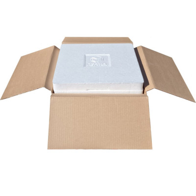 ТЕРМОЛОГИКА Термоконтейнер Т-9-ЕPS-ВK-K (с кольцом) для трансп. и врем. хранения мед. преп. 4660222130037