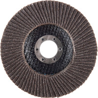 Inforce Круг лепестковый 125x22,2 P80 11-01-040