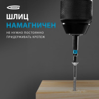 Набор бит TORX (Т20; 50 мм, сталь S2) 10 шт. GROSS 11470
