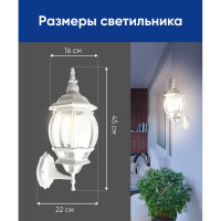 Садово-парковый светильник, восьмигранный на стену вверх 100W E27 230V, белый FERON 8101 11095