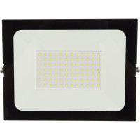 Светодиодный прожектор GLANZEN FAD-0010-100 00-00001792