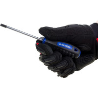 Шлицевая отвертка SL 100 мм Станкоимпорт CS-30.01.6x100