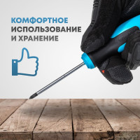 Набор отверток HAZET 810/6