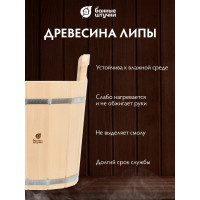 Запарник с нержавеющей вставкой Банные штучки 12л 33218