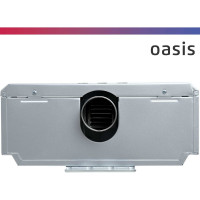 Газовый проточный водонагреватель Oasis 20 S/TUR