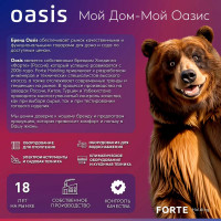 Газовый проточный водонагреватель Oasis OR - 16W