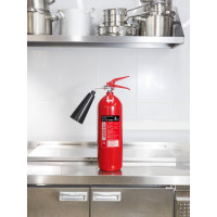 Огнетушитель ИНЕЙ ОУ-3 ВСЕ 112-03