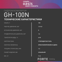 Гидроаккумулятор Oasis GH 100N 4640015381198