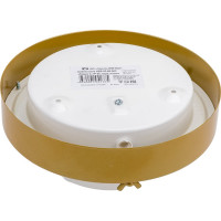 Светильник ЭЛЕТЕХ терма 3 нбб 03-60-003 ip65 корпус золото 1005500585