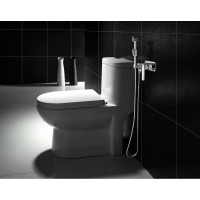 Встраиваемый смеситель с гигиеническим душем Lemark Plus Grace LM1519C