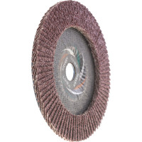 Круг лепестковый торцевой плоский КЛТ1 (180х22 мм; А 24; 14А 80/Р24) Луга 4603347276600