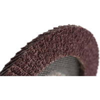 Круг лепестковый торцевой плоский КЛТ1 (180х22 мм; А 24; 14А 80/Р24) Луга 4603347276600