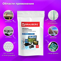 Чистящие салфетки для экранов и пластика BRAUBERG 100 шт влажные 511685