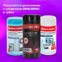 Чистящие салфетки для экранов и пластика BRAUBERG 100 шт влажные 511685