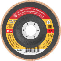 Круг лепестковый торцевой КЛТ-2 (125х22.2 мм; Р80) Без бренда 740857