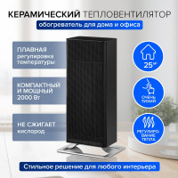 Керамический обогреватель Stadler Form Anna black A-021E