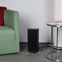 Керамический обогреватель Stadler Form Anna black A-021E