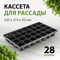 Кассета для рассады Без бренда 52x31см 64312