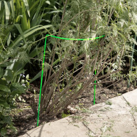 Кустодержатель Без бренда круг 0.5м, высота 0.5м, диаметр проволоки 5мм 64475