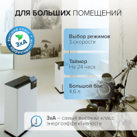 Осушитель воздуха бытовой (с компрессором) Stadler Form Albert, мобильный с гигростатом и таймером, белый A-041E