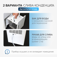 Осушитель воздуха бытовой (с компрессором) Stadler Form Albert, мобильный с гигростатом и таймером, белый A-041E