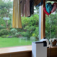 Осушитель воздуха бытовой (с компрессором) Stadler Form Albert, мобильный с гигростатом и таймером, белый A-041E