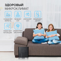 Традиционный увлажнитель воздуха Stadler Form (без налета и накипи) с ароматизатором Oskar, черный O-021