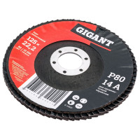 Gigant Круг лепестковый 125x22,2 P80 G-11037