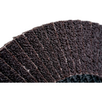 Gigant Круг лепестковый 125x22,2 P80 G-11037