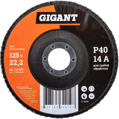 Gigant Круг лепестковый 125x22,2 P40 G-11035