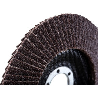 Gigant Круг лепестковый 125x22,2 P40 G-11035