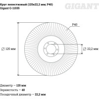 Gigant Круг лепестковый 125x22,2 P40 G-11035