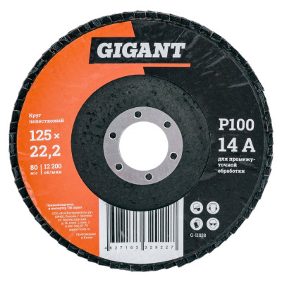 Gigant Круг лепестковый 125x22,2 P100 G-11038