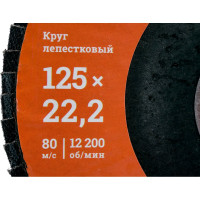 Gigant Круг лепестковый 125x22,2 P100 G-11038