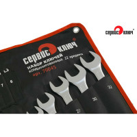 Набор ключей 22 предмета сумка СЕРВИС КЛЮЧ 6-19, 21,22,24,27,30,32, холодный штамп CR-V 70045