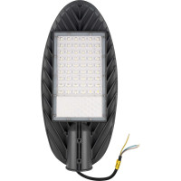 Светодиодный светильник Jazzway консольный PSL 03 GR 50Вт 4000К IP65 AC190-260В ДКУ уличный 5022676