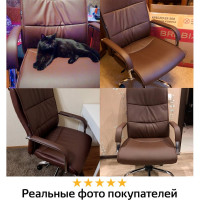 Компьютерное офисное кресло руководителя BRABIX Space EX-508, с подлокотниками, эко кожа, хром 531164