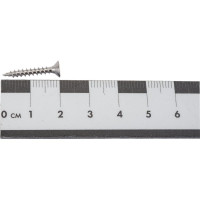 Универсальный шуруп ЕВРОПАРТНЕР с пот. гол. 3х20 нержав. сталь 15 шт. G2 3020 1