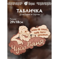 Табличка Банные штучки Чудо баня 29х18 см, береза 32326