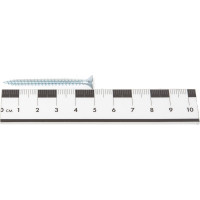 Потайной универсальный шуруп Метизный двор 4,0x50, белый, 15 шт. 4690441019073