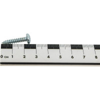 Шуруп с полукруглой головкой Метизный двор 4,8x22 оцинкованный DIN 7981, 250 шт. 4690441025234