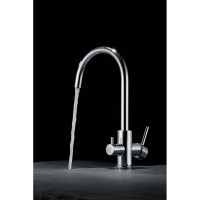 Смеситель для кухни Paulmark ESSEN хром Es213211-CR