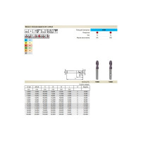 Фреза Power Mill (8 мм; Z2; r=4 мм; тип N; хвостовик HA; твердый сплав; Fire) Guhring 19968 8,000
