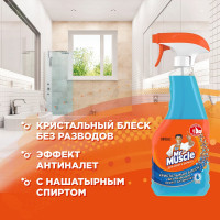 Средство для мытья стекол и зеркал МИСТЕР МУСКУЛ 500 мл После дождя 865085