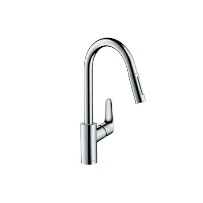 Смеситель для кухни Hansgrohe Focus 31815000 00000031163