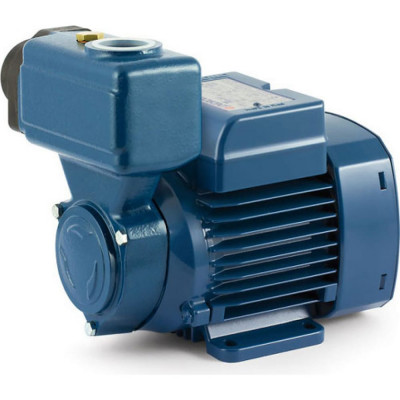 Насос Pedrollo PKSm 60 41PNKS60A1