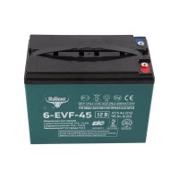 Тяговый аккумулятор 6-EVF-45, 12В, 45 А/ч (C5) Rutrike 021663