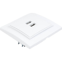 Розетка EKF USB Минск 2-местная, СП 2, 1А, белая ERR-2USB-100